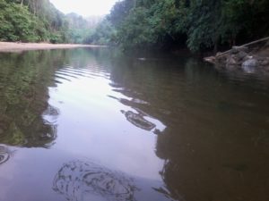 achancovil river kavu oorali