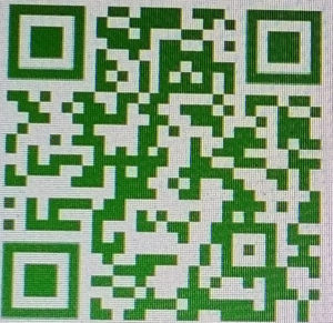 qr code kallely kavu web