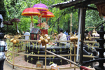 Le Moulin de Sauvage vu de l'extérieur